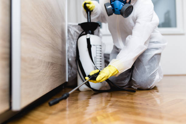 Insect Control in Daisetta, TX