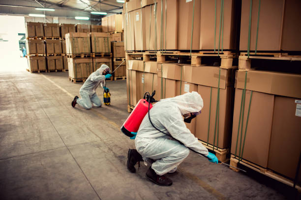 Best Commercial Pest Control Services  in Daisetta, TX