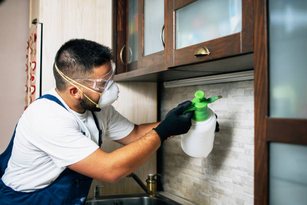 Best Pest Control Near Me  in Daisetta, TX