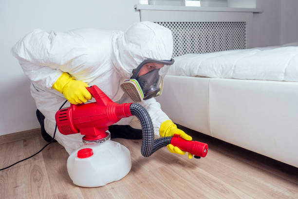 Best Rat Extermination Near Me  in Daisetta, TX