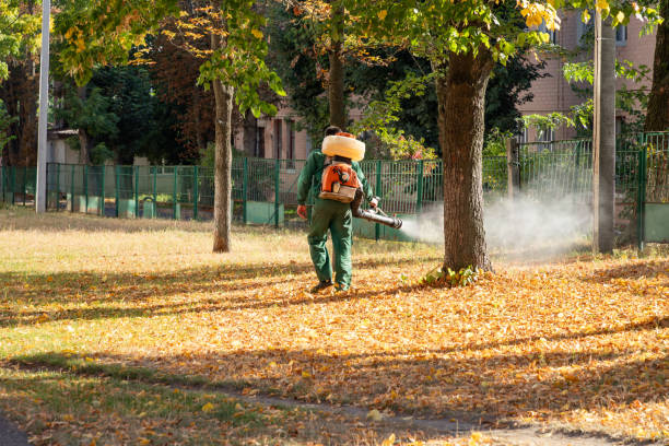 Best Best Pest Control Companies  in Daisetta, TX